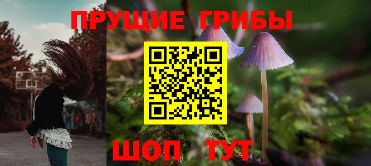 купить  цена  Галлюциногенные грибы прущие грибы  Егорьевск  Вход с VPN  Галлюциногенные грибы Magic Shrooms 