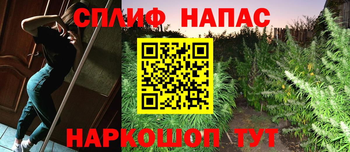 Каннабис сатива Егорьевск